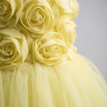 Vestido Luz de Girasol - VD012